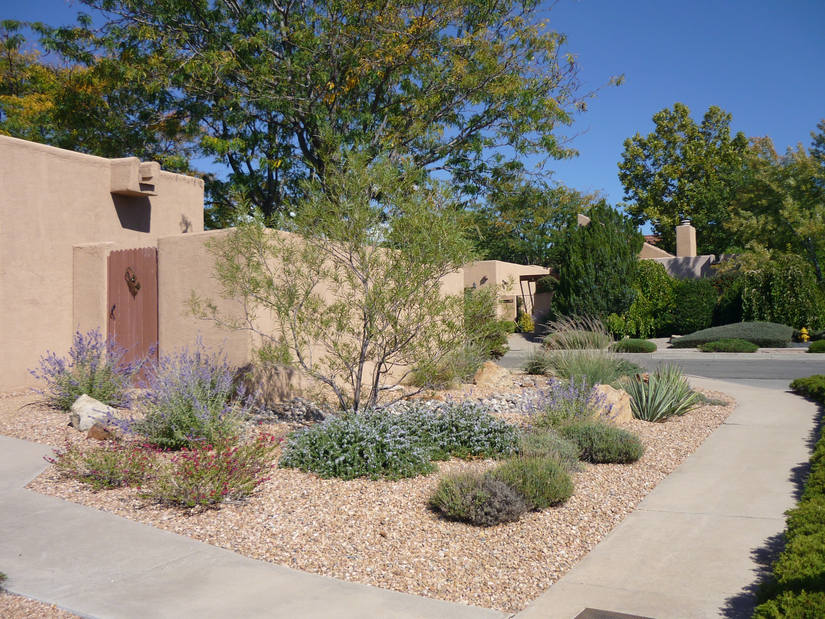 Adobe home with xeriscape front yard and native plants